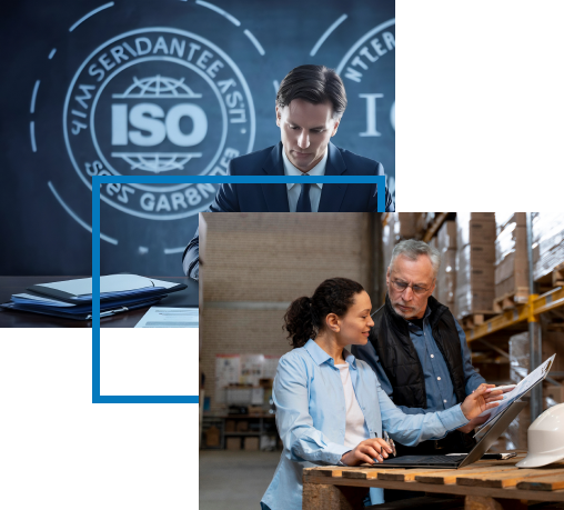 Delivery Quality - IQM